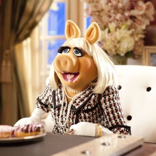 The Muppets Picture 12