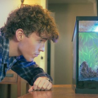 The Fishsitter Picture 7