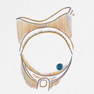 The Horizon From The Tip Of The Nose Picture 4