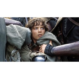 The Lord of the Rings: The Two Towers (2002)