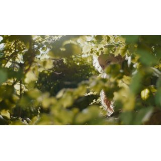 The Magic Faraway Tree (2026)