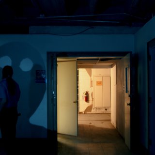The Shadow (2026)