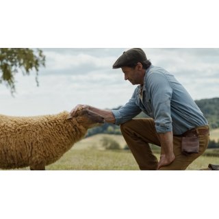 The Sheep Detectives (2026)