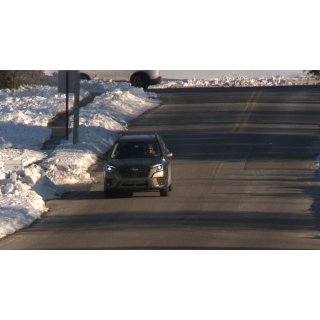 The Shovelers Picture 6