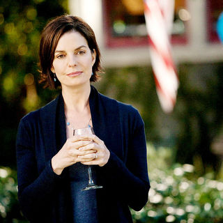 Sela Ward stars as Susan Harding in Screen Gems' The Stepfather (2009)