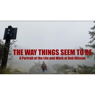 The Way Things Seem to Be (2026)