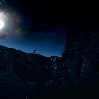 Wolfman, The Picture 35