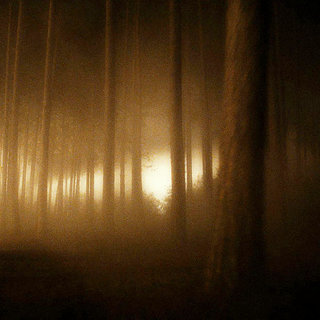 A scene from Universal Pictures' The Wolfman (2009)