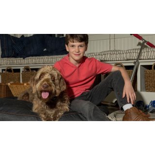 Think Like a Dog (2020)