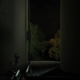 Tomorrow, You Pretty Ghost (2026)