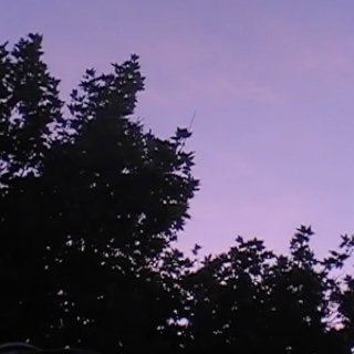 Towards The Night Picture 2