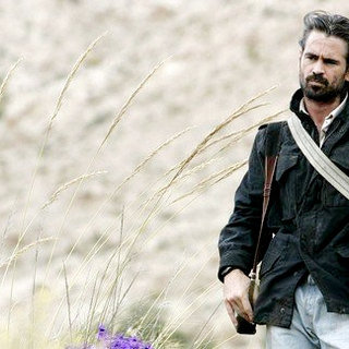 Colin Farrell stars as Mark Walsh in Parallel Films' Triage (2009)