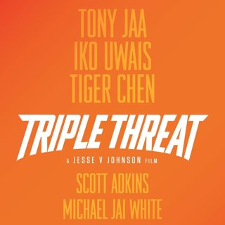 Poster of Well Go USA's Triple Threat (2019)