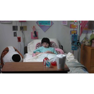 Ultimate Gift, The (2007)
