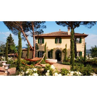 Under the Tuscan Sun (2003)