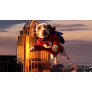Underdog (2007)