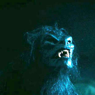 Underworld: Rise of the Lycans Picture 39