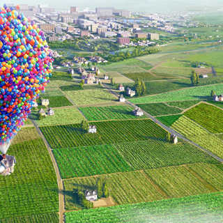 Up Picture 34