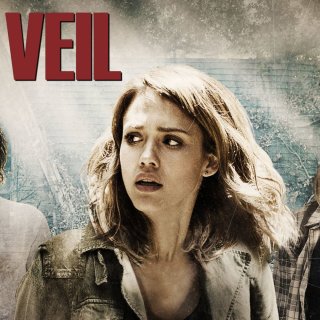 Veil, The Picture 3