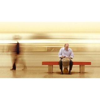 Visitor, The (2008)