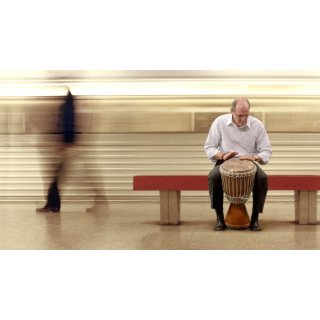 Visitor, The (2008)