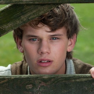 War Horse Picture 14