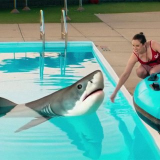Water Park Shark Picture 4