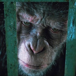 War For The Planet Of The Apes Picture 40