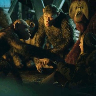 War For The Planet Of The Apes Picture 42