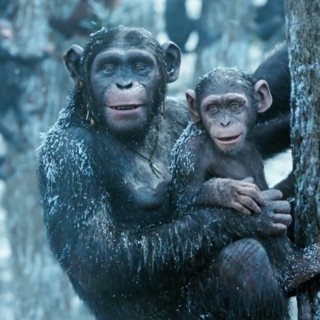 War For The Planet Of The Apes Picture 45
