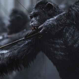 A scene from 20th Century Fox's War for the Planet of the Apes (2017)