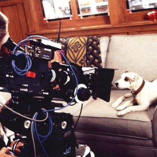 What's the Story, Wishbone? (2026)
