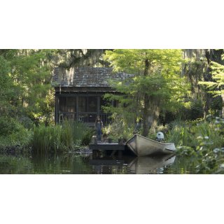 Where the Crawdads Sing (2022)