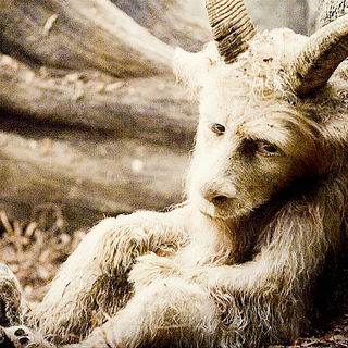 Where The Wild Things Are Picture 26