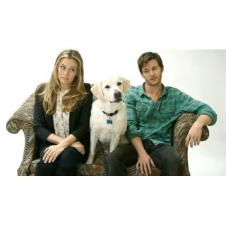 Who Gets the Dog (2016)