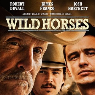 Poster of Patriot Pictures' Wild Horses (2015)