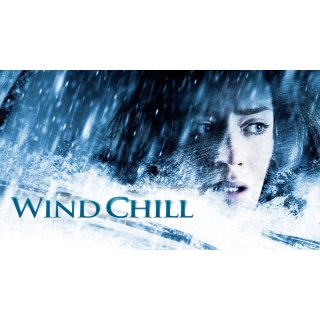 Wind Chill (2007)