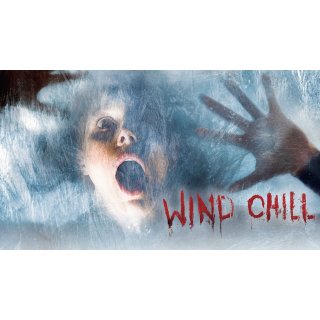 Wind Chill (2007)