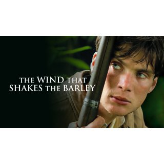 Wind That Shakes The Barley, The Picture 7