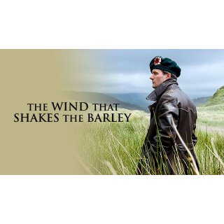 Wind That Shakes The Barley, The Picture 10