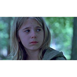 Woodsman, The (2004)