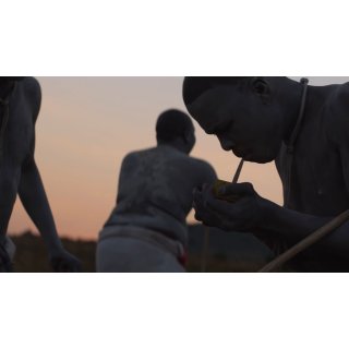 Wound, The (2017)