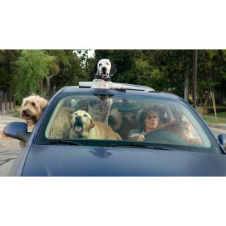 Year of the Dog (2007)