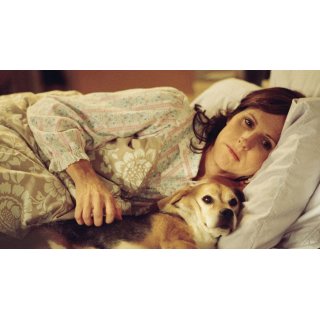 Year of the Dog (2007)