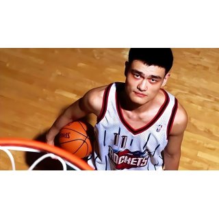 Year of the Yao, The (2005)