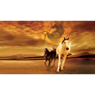 Young Black Stallion (2003)