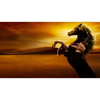 Young Black Stallion (2003)