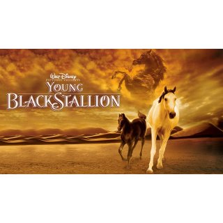 Young Black Stallion (2003)