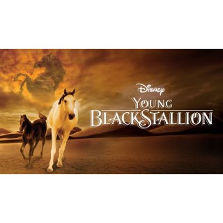 Young Black Stallion (2003)