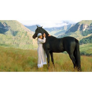 Young Black Stallion (2003)